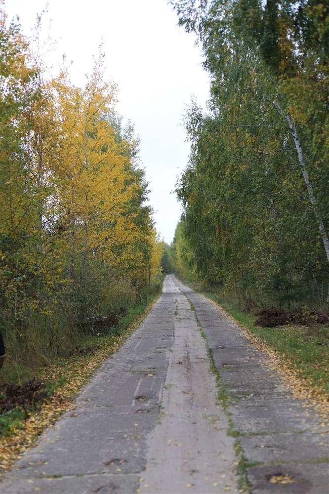 Photograph by Наталья Ананьева