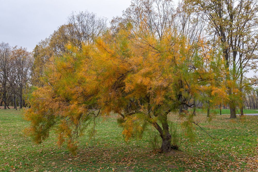 Photograph by Олег Ершов