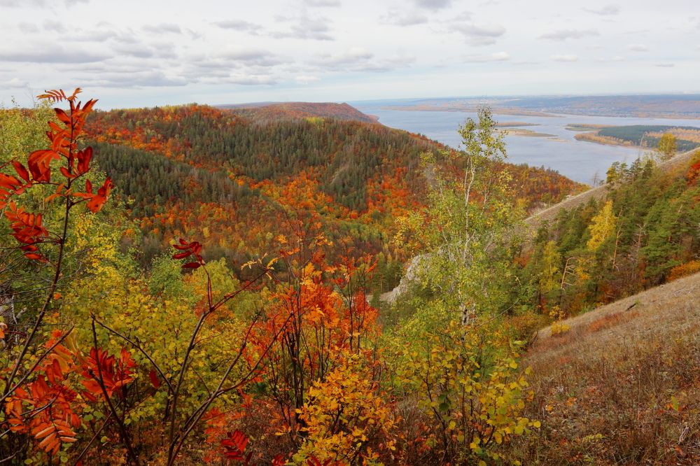 Photograph by Владимир Шебаршенко