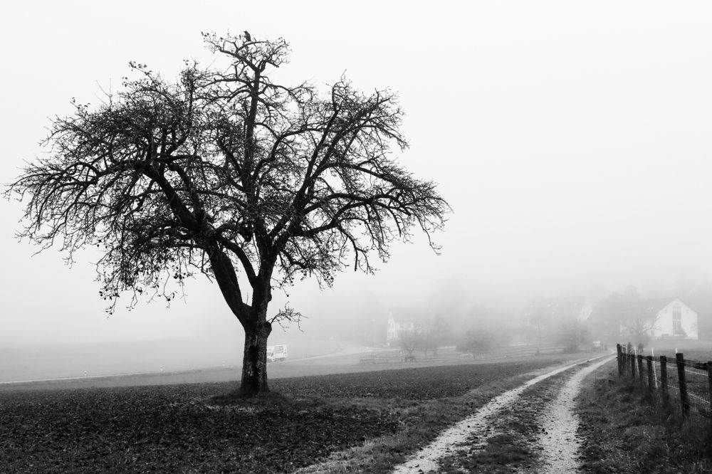 Photograph by Lyudmila Klimanova