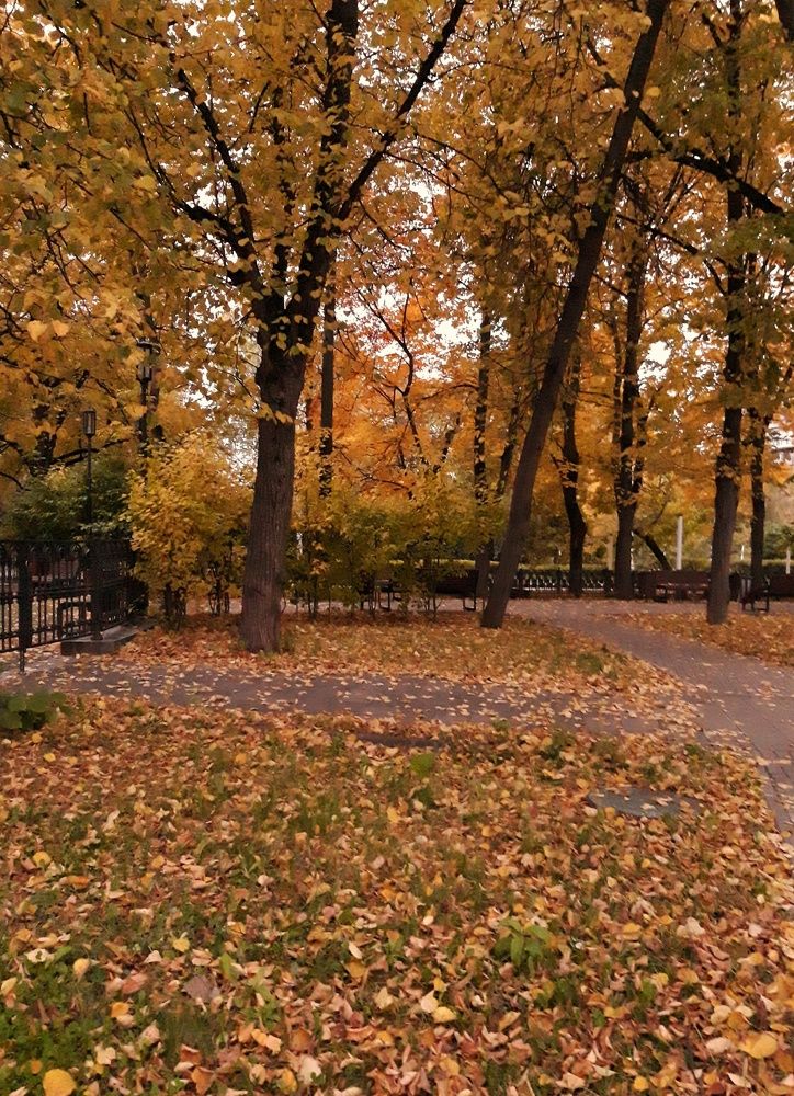 Photograph by Анжелика Медведева