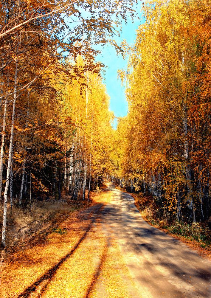 Photograph by федотов Алексей