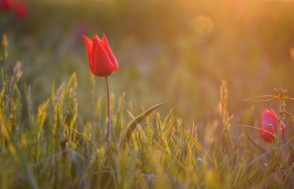 Photograph by Юлия Абрамова