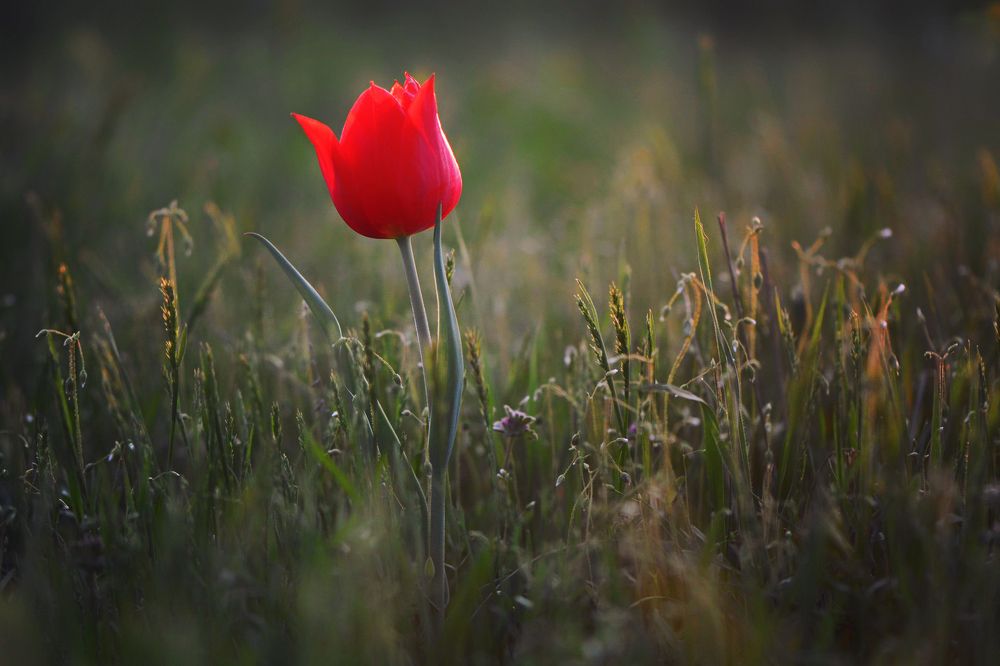 Photograph by Юлия Абрамова