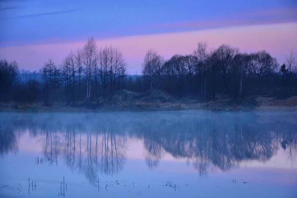 Photograph by Юлия Абрамова