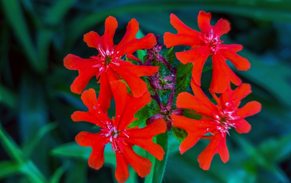 Photograph by Баженова Наталья