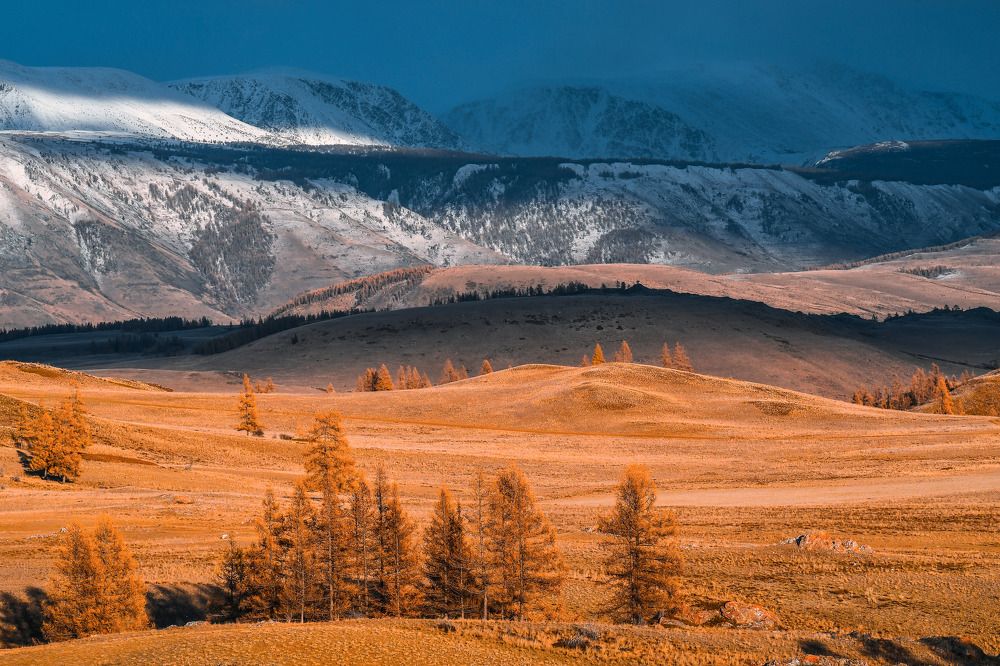 Photograph by Татьяна Мещерякова