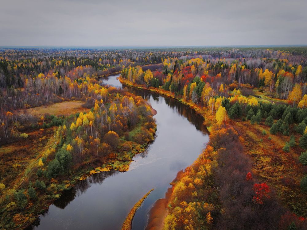 Краски октября