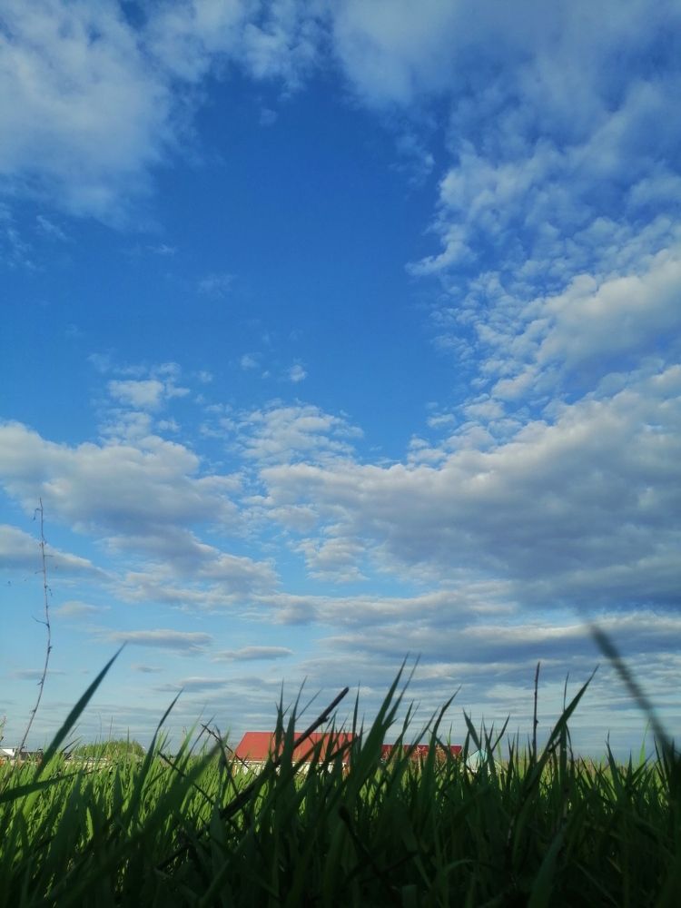 Photograph by Лиана Ратия