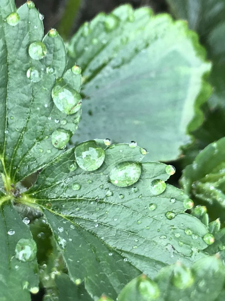 Photograph by Анар Амирова