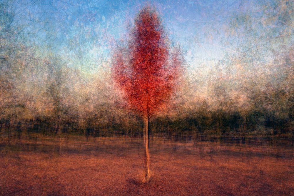 Photograph by Dimitris Lapousis