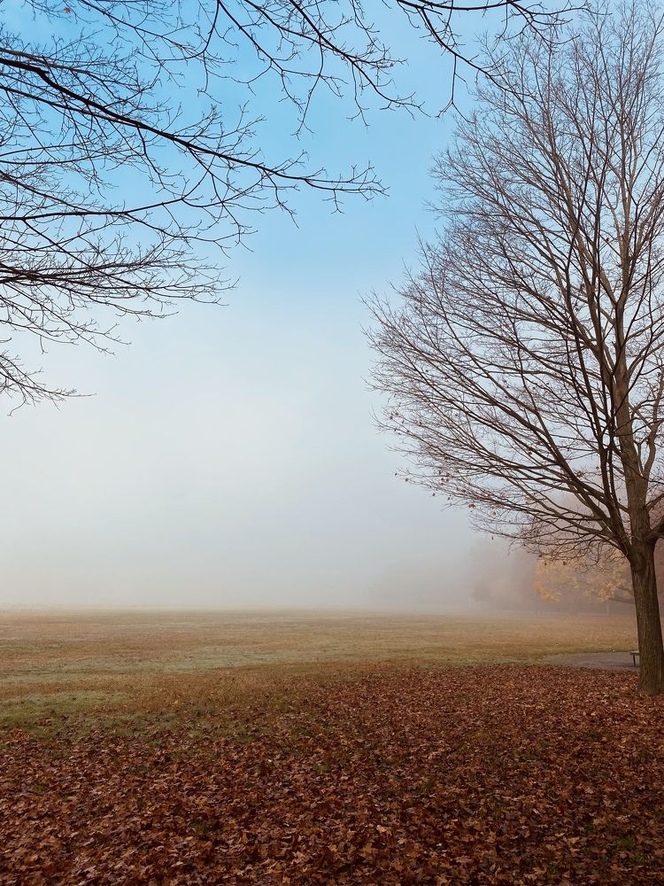 Photograph by Юлия Халяпина