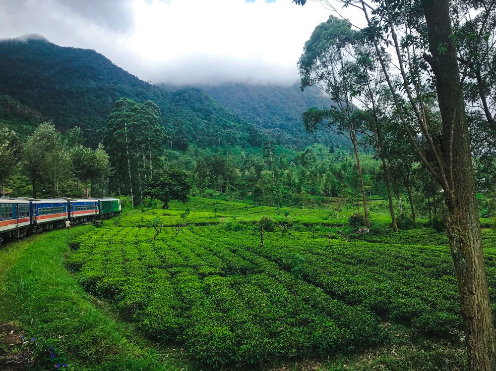 Photograph by Sivagurunathan Dilshanth