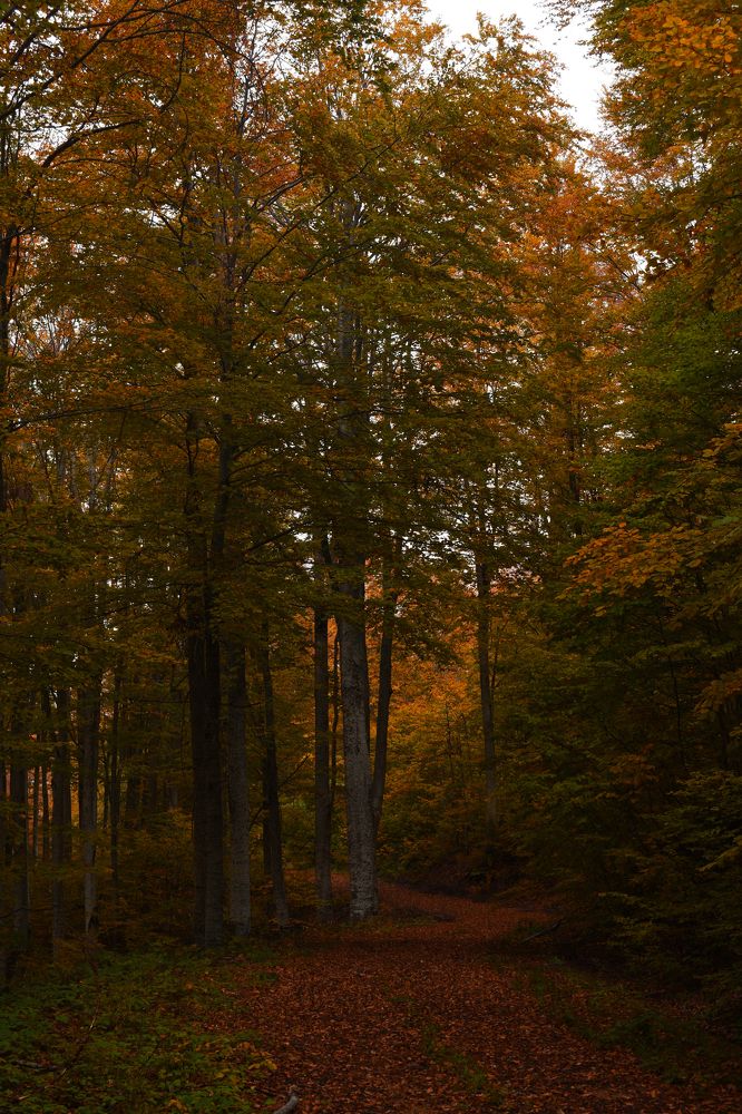 Photograph by ILIAS DIMITRIOU