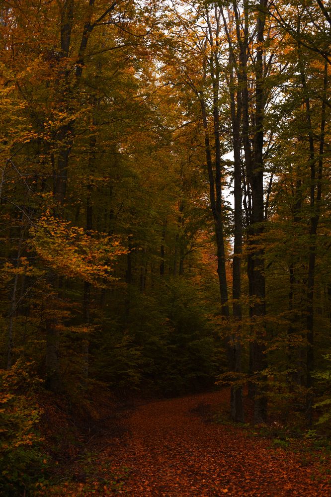 Photograph by ILIAS DIMITRIOU