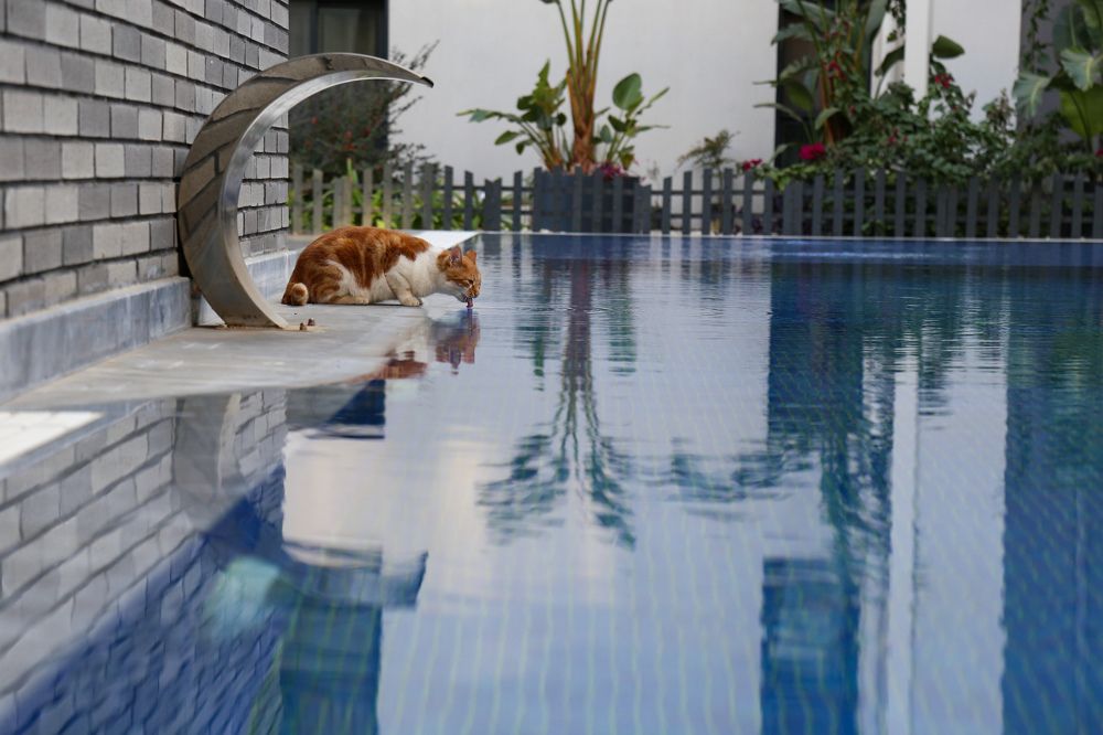 Photograph by Yelena Shestakova