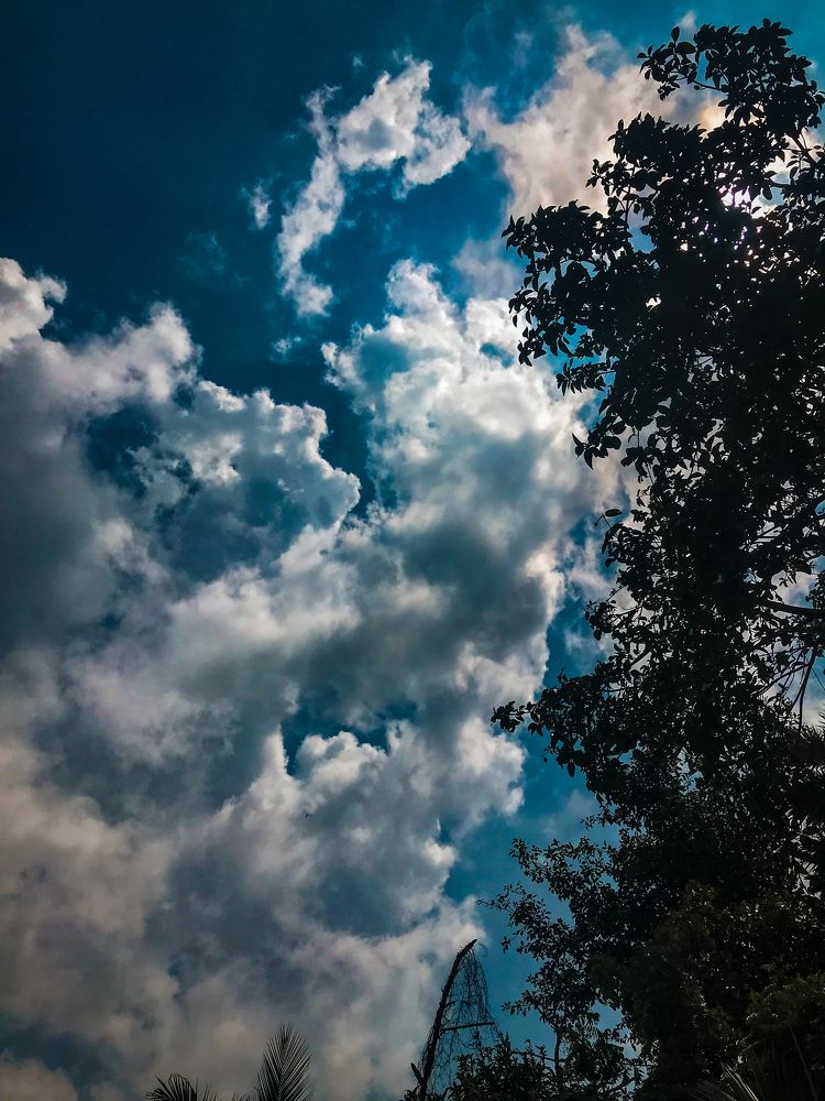 Photograph by Sivagurunathan Dilshanth