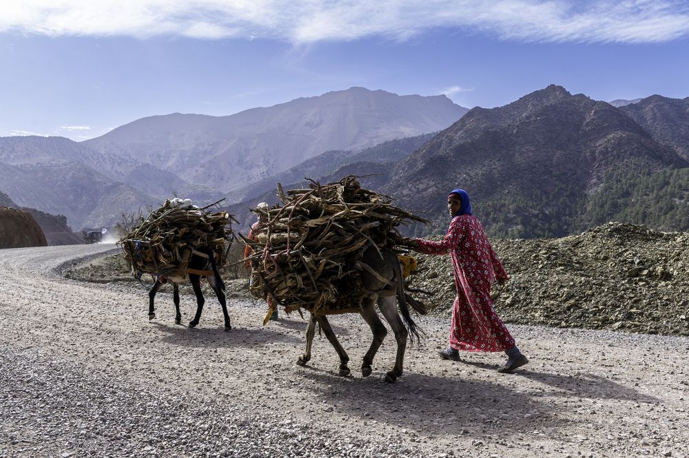 Winter is coming .... Wood for the house