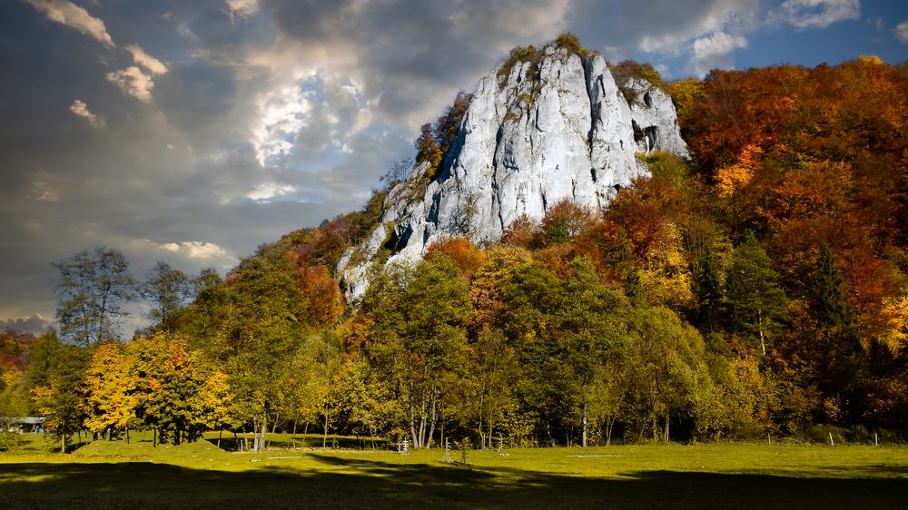 Photograph by Waldemar Gocałek