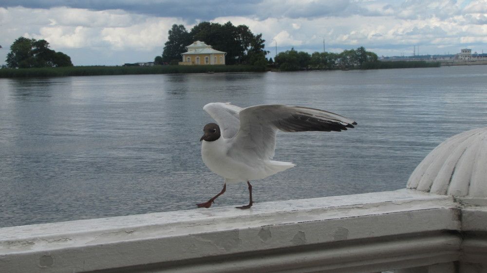 Photograph by Ильяс Альмухаметов