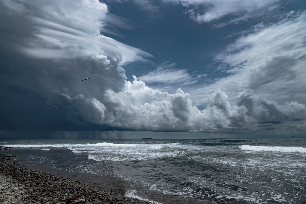 Photograph by Tateshi