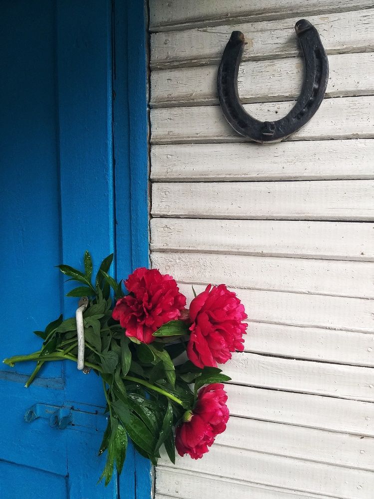 Photograph by Вера Родионова