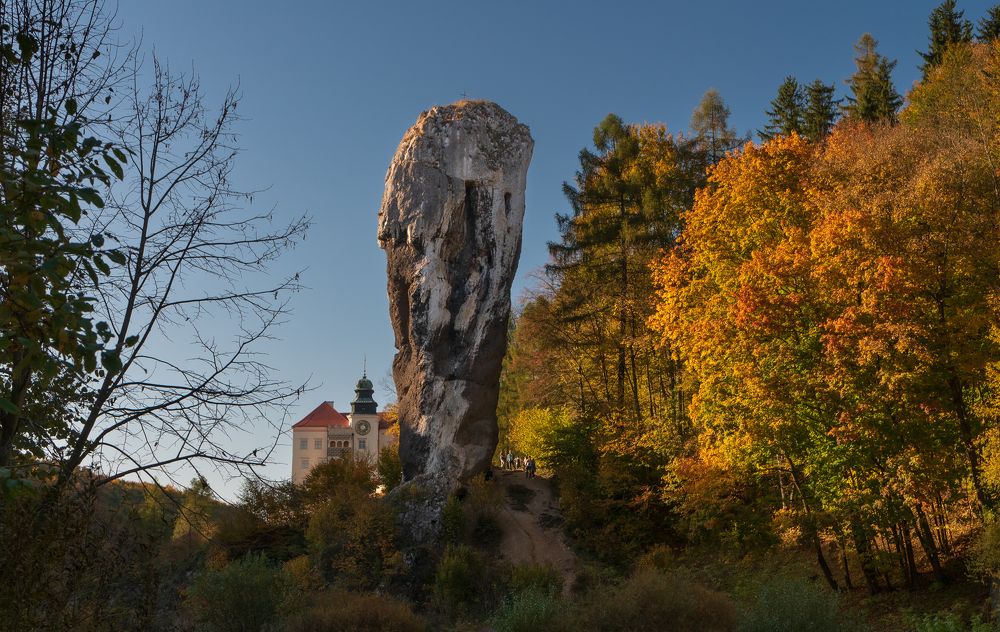 Photograph by Waldemar Gocałek