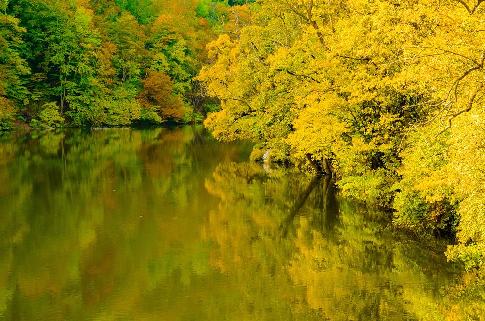 Photograph by Tamás Farkas