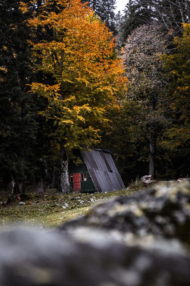 Photograph by Ольга Охорзина