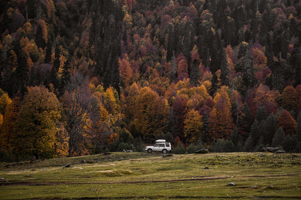 Photograph by Ольга Охорзина