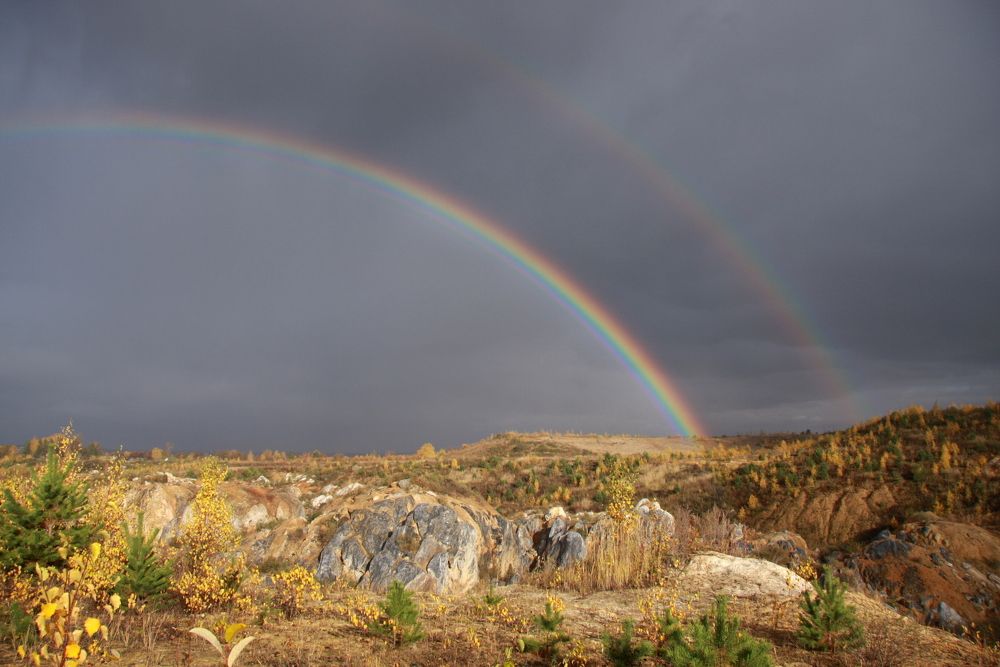 Фотография автора Nelya  Lysenko