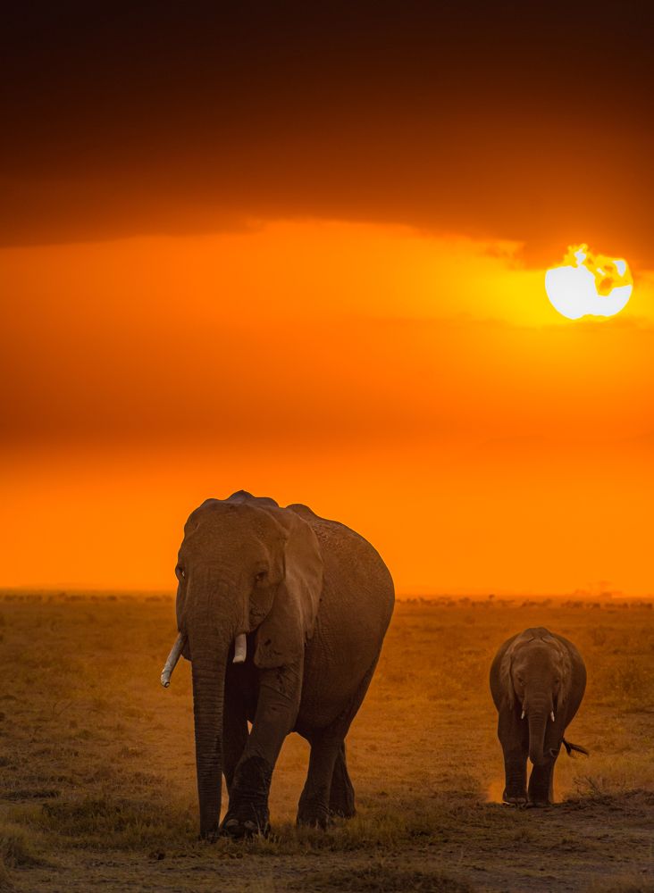 Photograph by Sathiish Rao P.