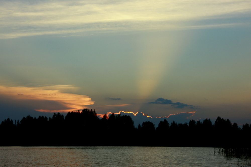 Фотография автора Nelya  Lysenko