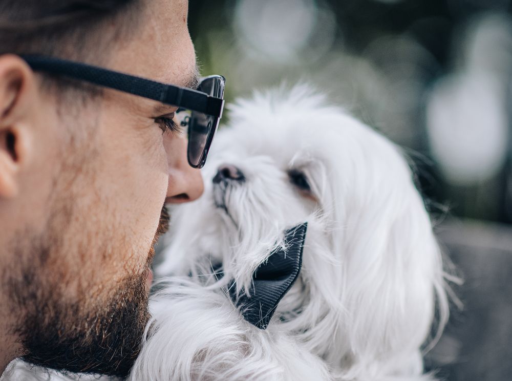 Photograph by Александр Друкар