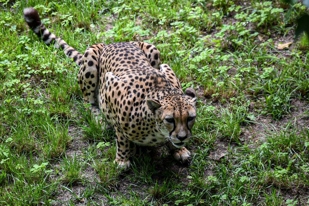 Photograph by Midhun Kanadan