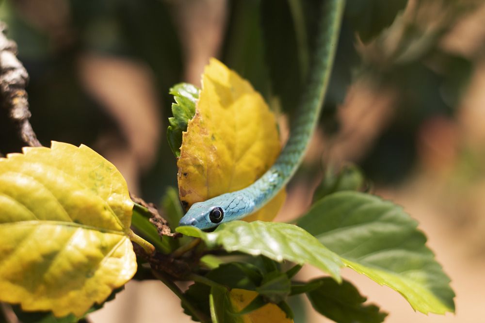 Photograph by Ogundele Ayorinde