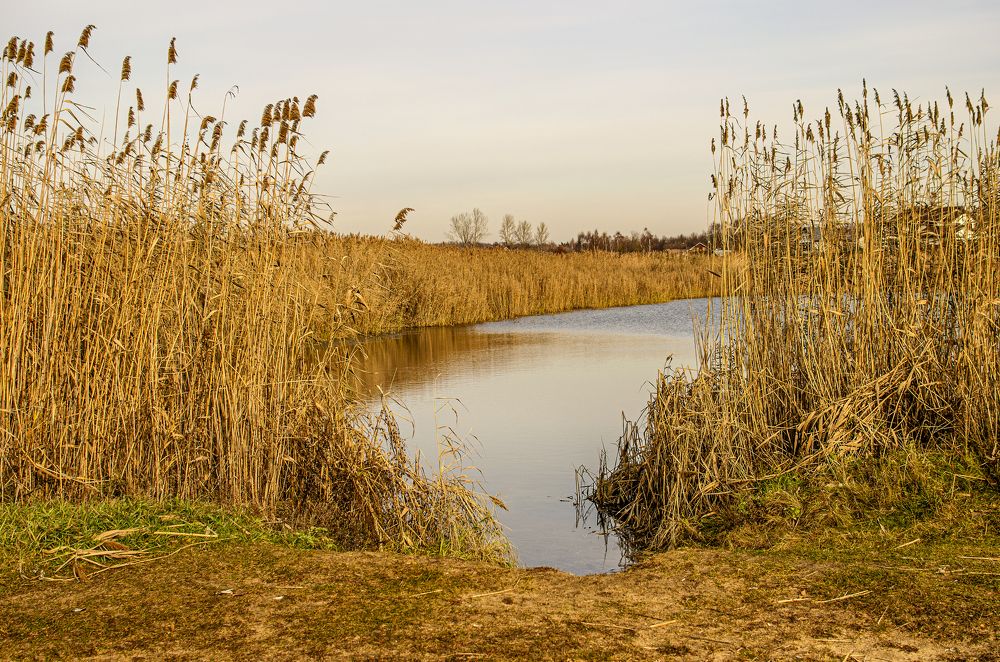 Photograph by Грашин Игорь Алексеевич
