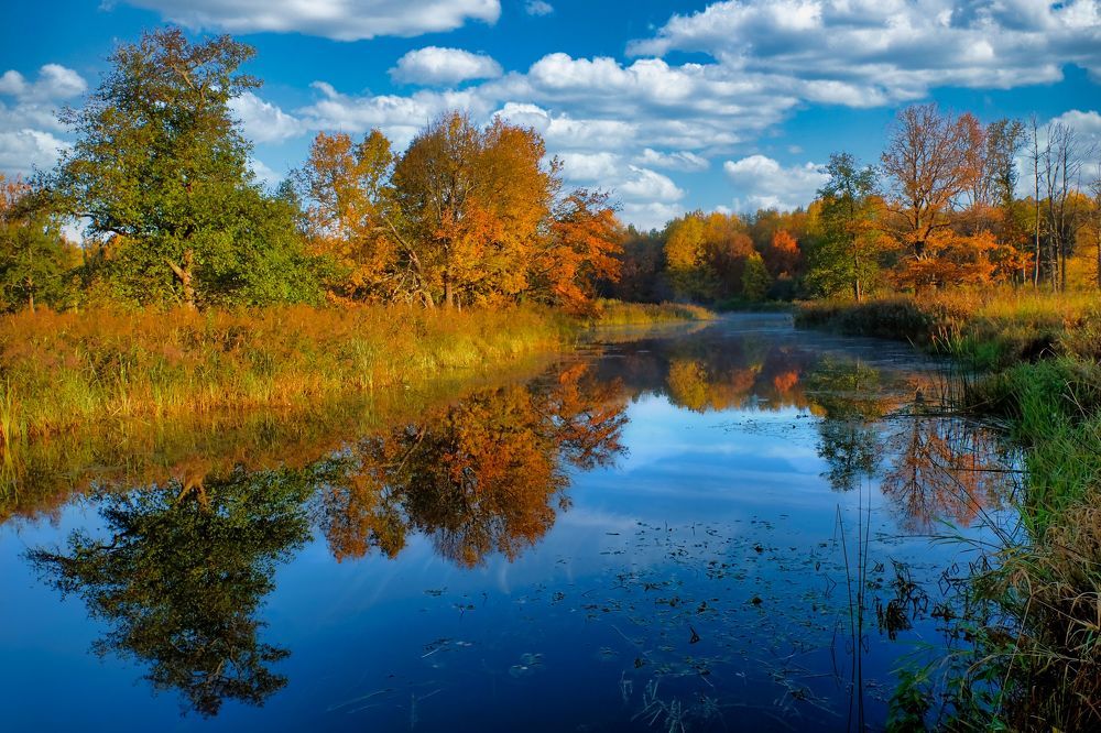 Photograph by Евгений Рощин