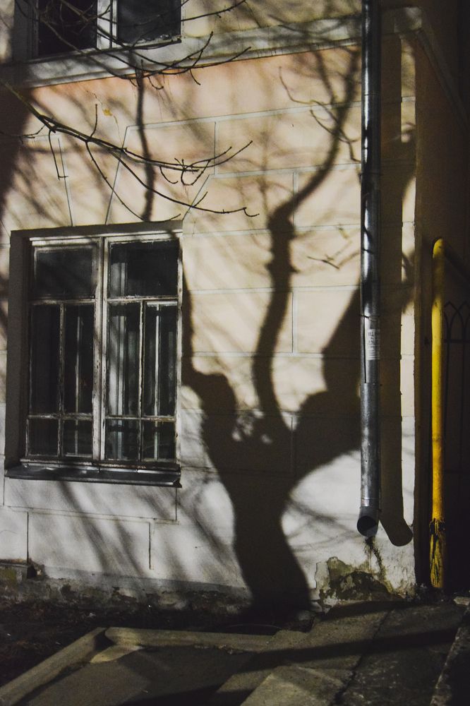 Photograph by Александра Глумина