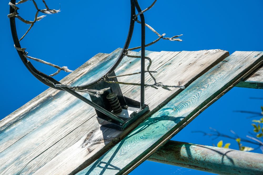 Photograph by Александра Глумина