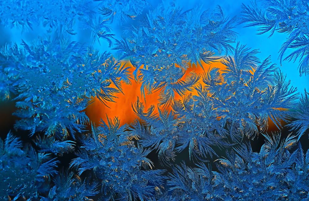 Художник-мороз.