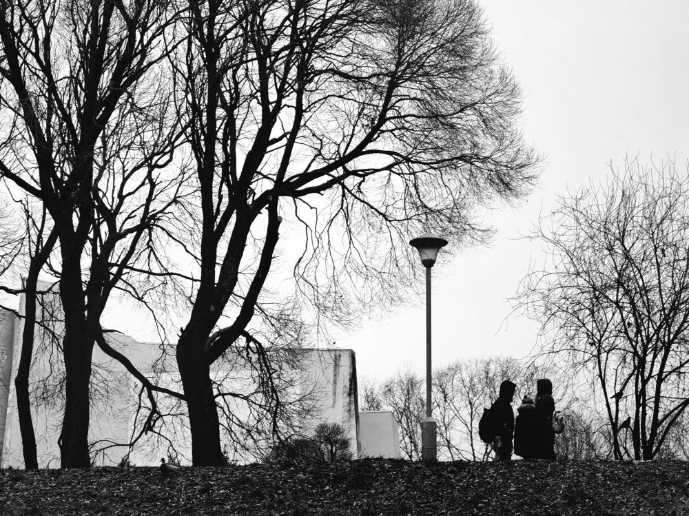 Photograph by Юрий Полушин