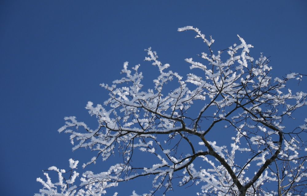 Photograph by Юрий Чистяков