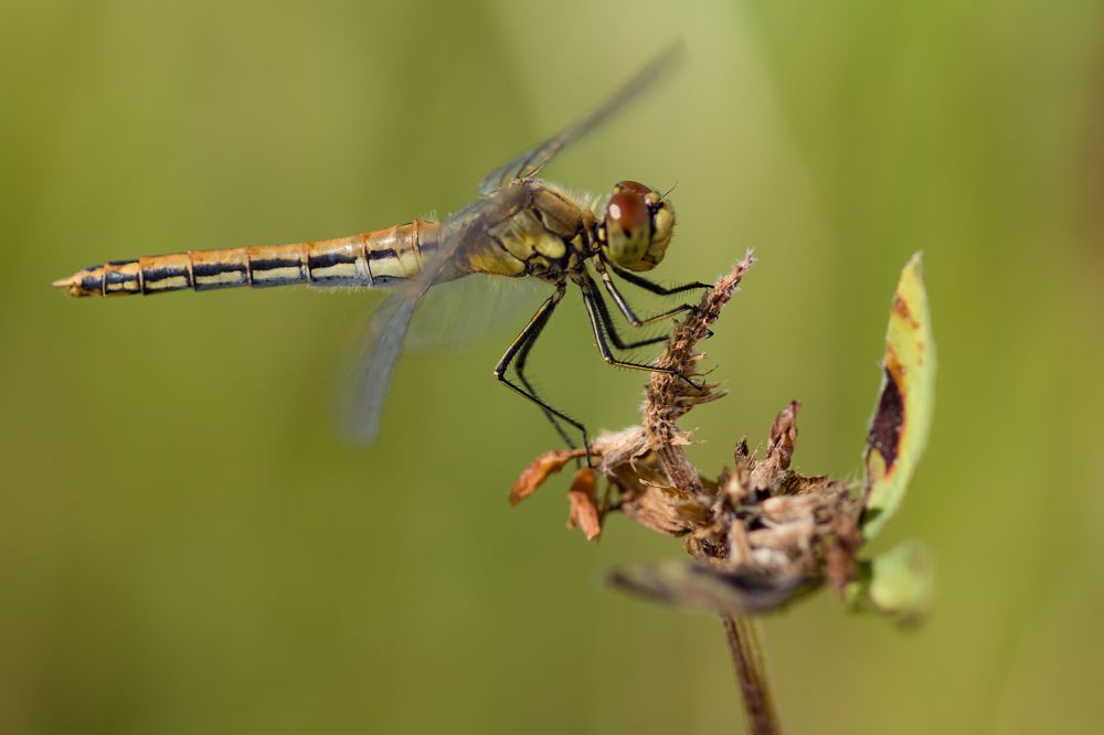 Фотография автора Aleksandr Kadyshev