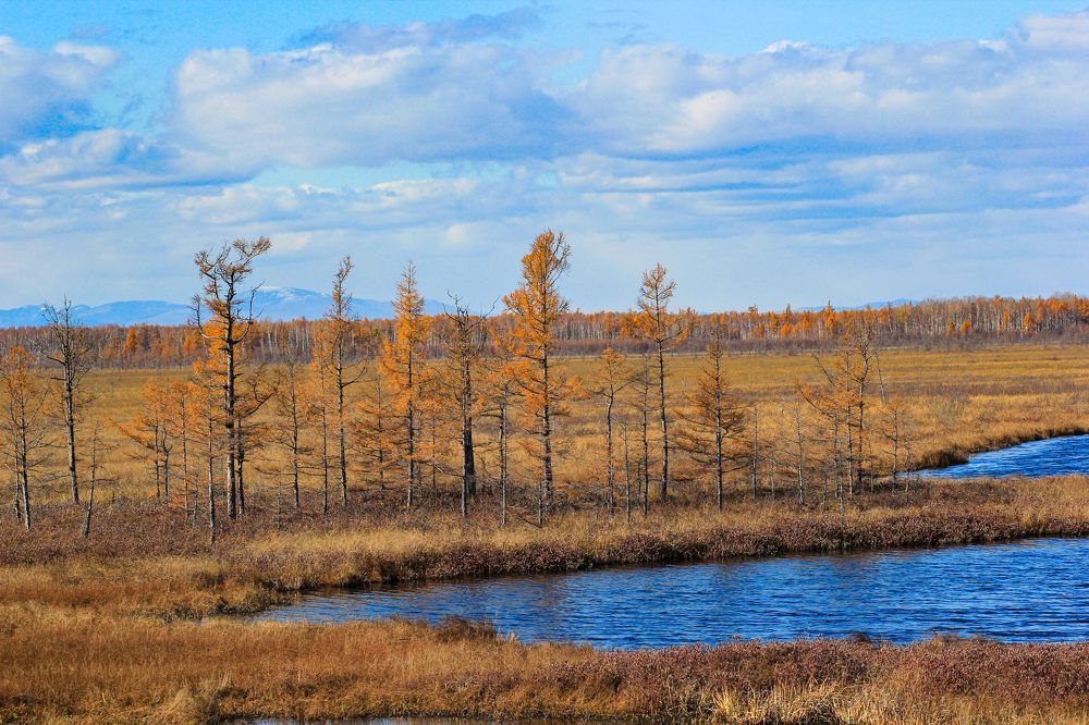 Photograph by Галина Искандарова