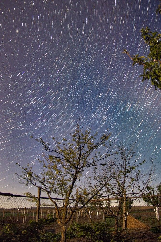 Photograph by Данил Моисеенко