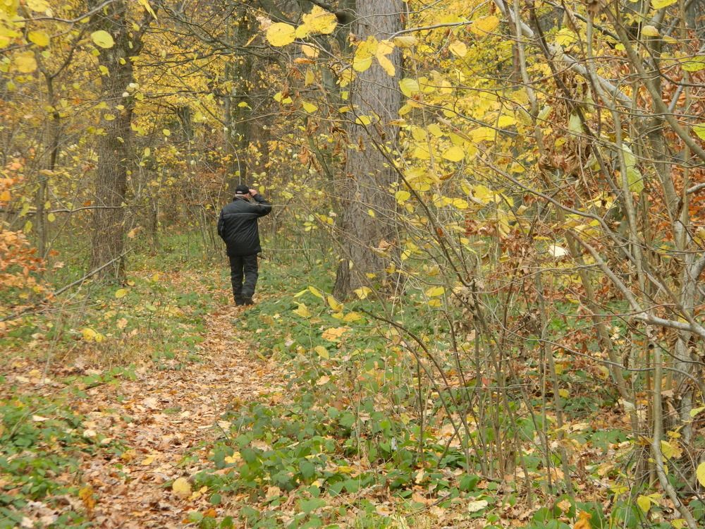 Photograph by Сергей Рапопорт