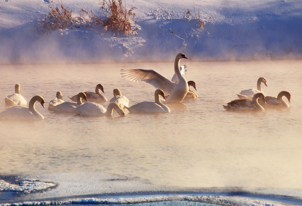 ЗИМНИЕ ВАННЫ.