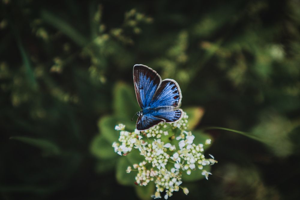 Photograph by Марина Шамич