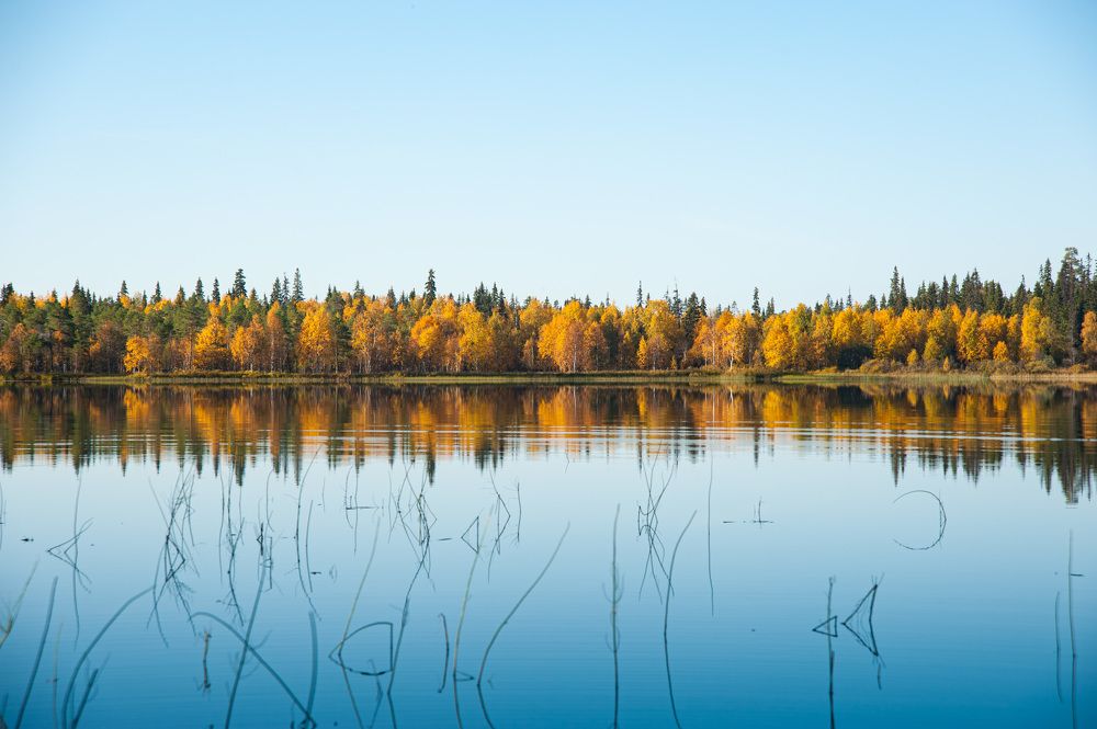 Photograph by Альбина Рычкова